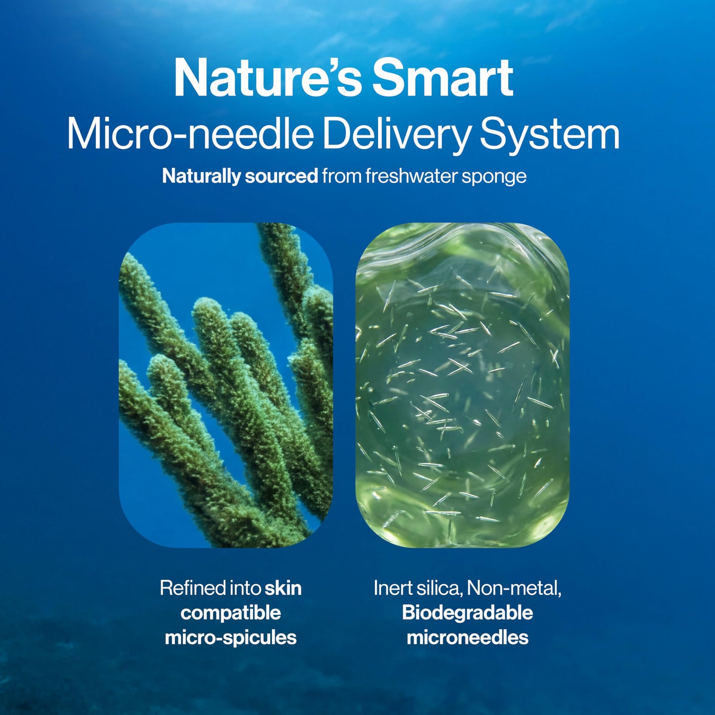 Be Bodywise Advanced Hair Density Roll-On Serum